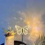 LED kristalna stona lampa - LEPTIR