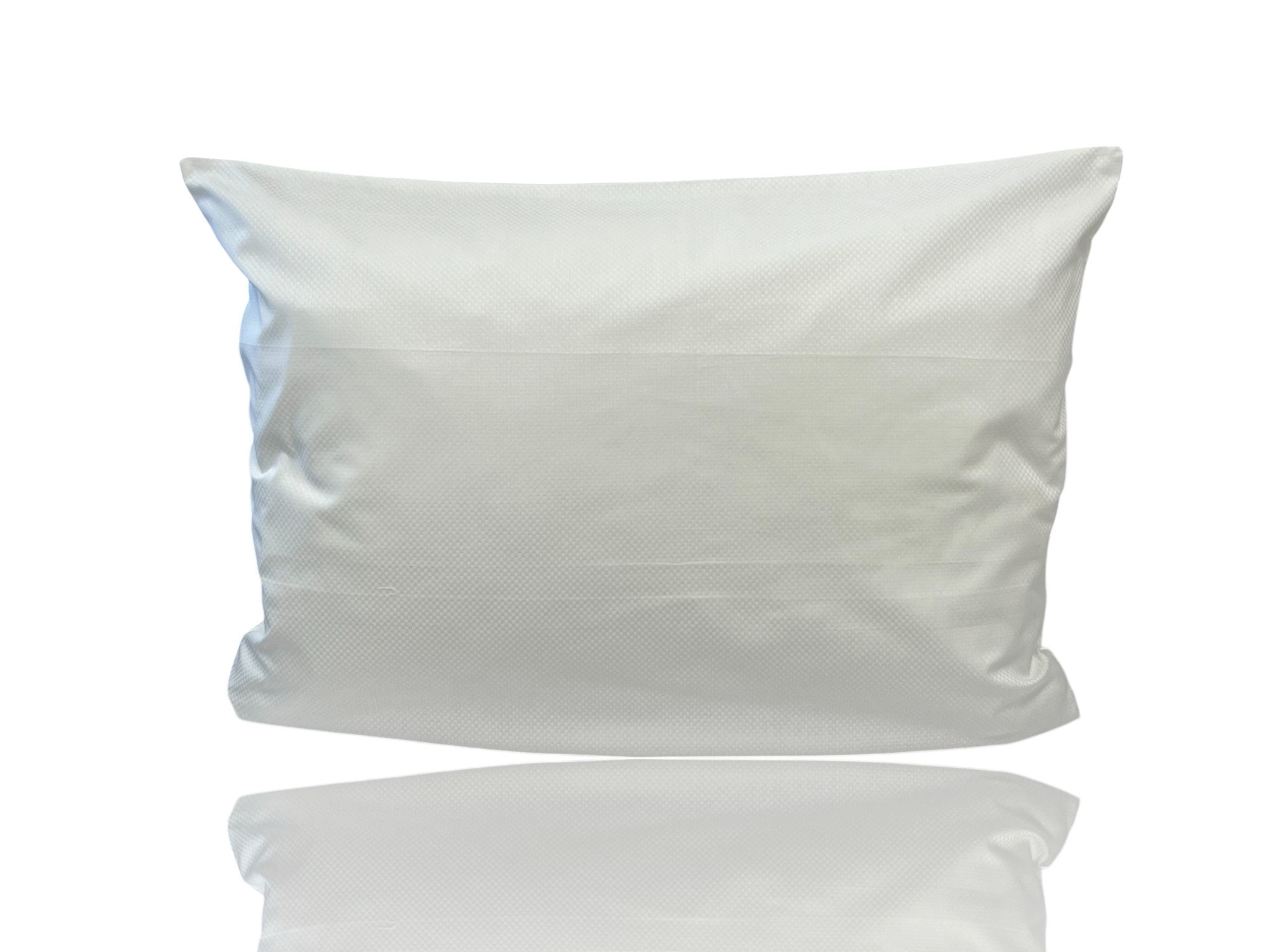 jastucnicakockicabelaboja