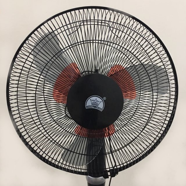16_double_blade_standing_fan_1507793040_7cbad6cf