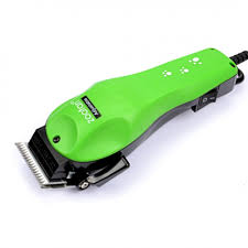 images-2021-03-01T152143.738