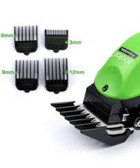 images-2021-03-01T152203.326